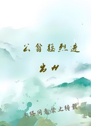 公翁猛烈进出H
