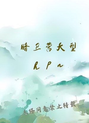 暗卫营大型hpn